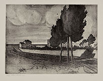 ALBERI, STRADA E CASE